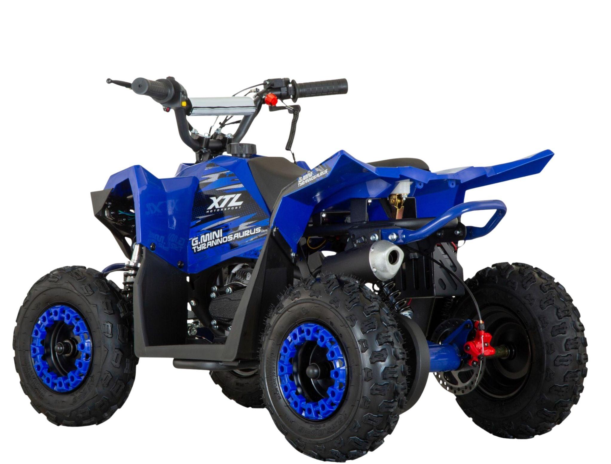 G-Mini Tyrannosaurus 49cc 2T 5