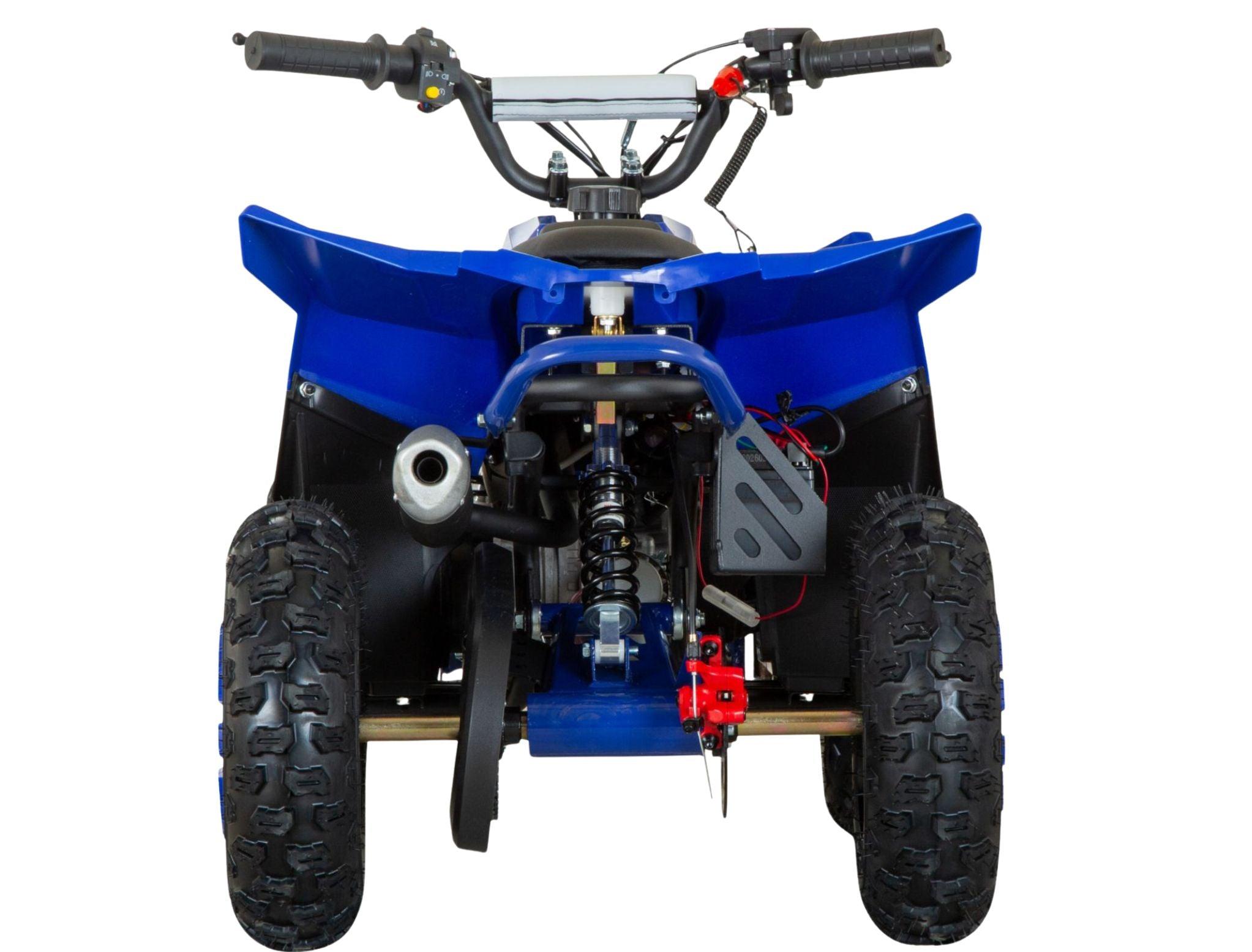 G-Mini Tyrannosaurus 49cc 2T 4